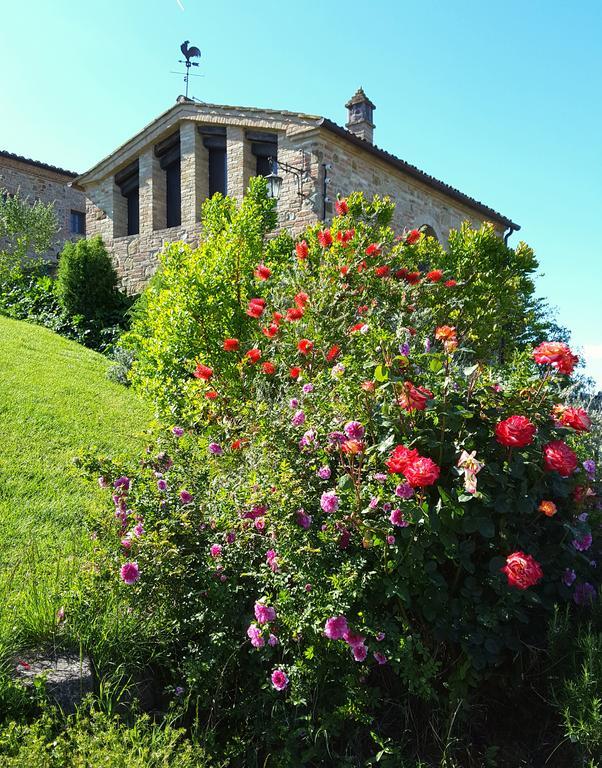 Podere Cunina Buonconvento Extérieur photo